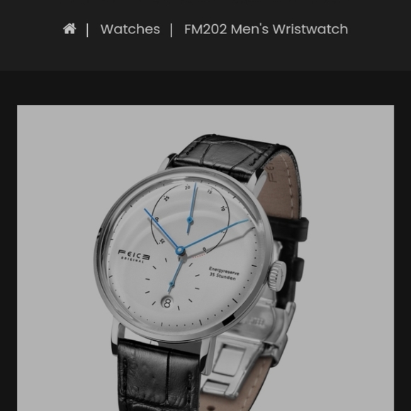 FEICE FM202 men's wristwatch - Picture 9 of 9